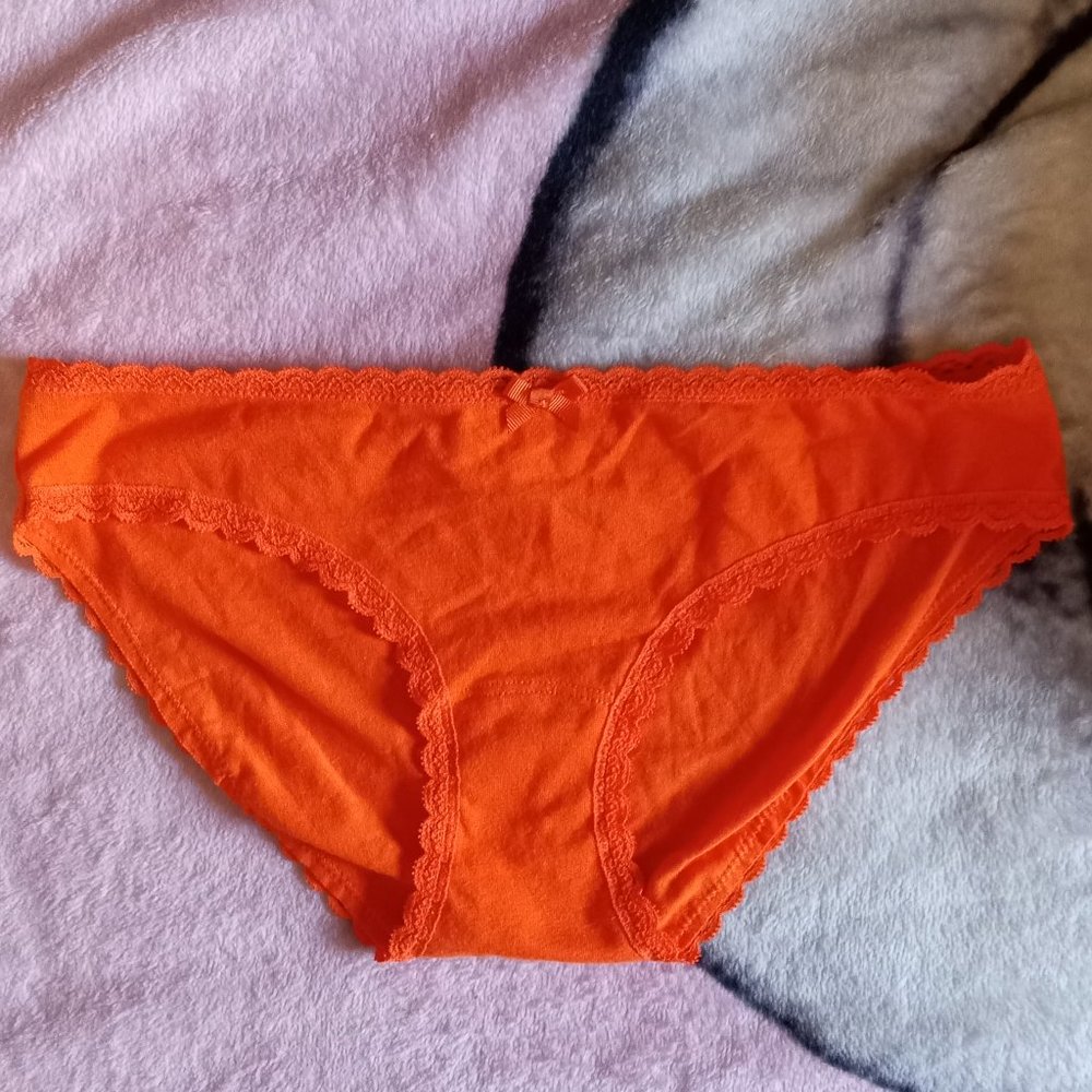 NEW GILLY HICKS Down Undies (Bikini Style)